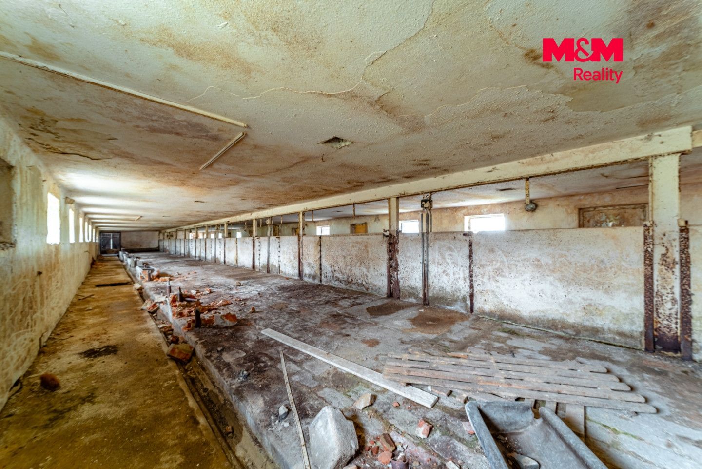 Prodej, Zemědělská usedlost, 600 m², Puclice, Puclice – náhled fotky 9
