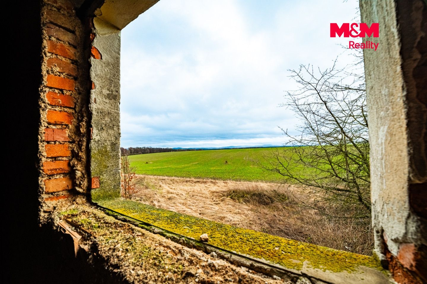 Prodej, Zemědělská usedlost, 600 m², Puclice, Puclice – náhled fotky 8