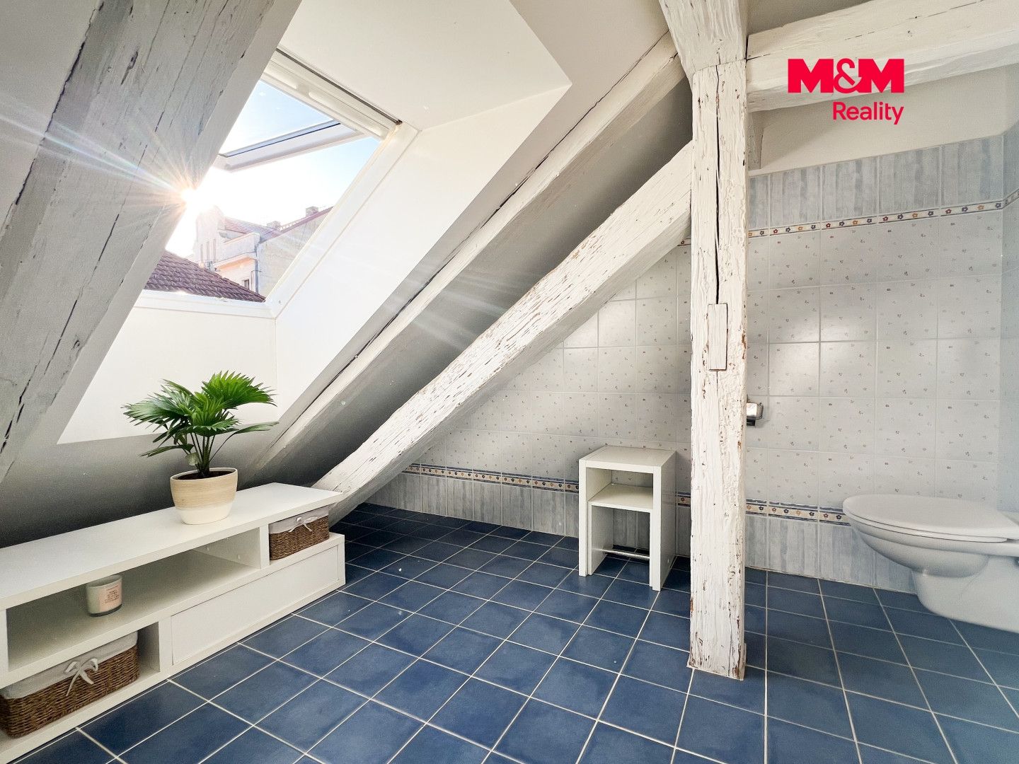 Prodej, Byt 3+kk, 190 m², Písek, Fráni Šrámka, Písek – náhled fotky 25