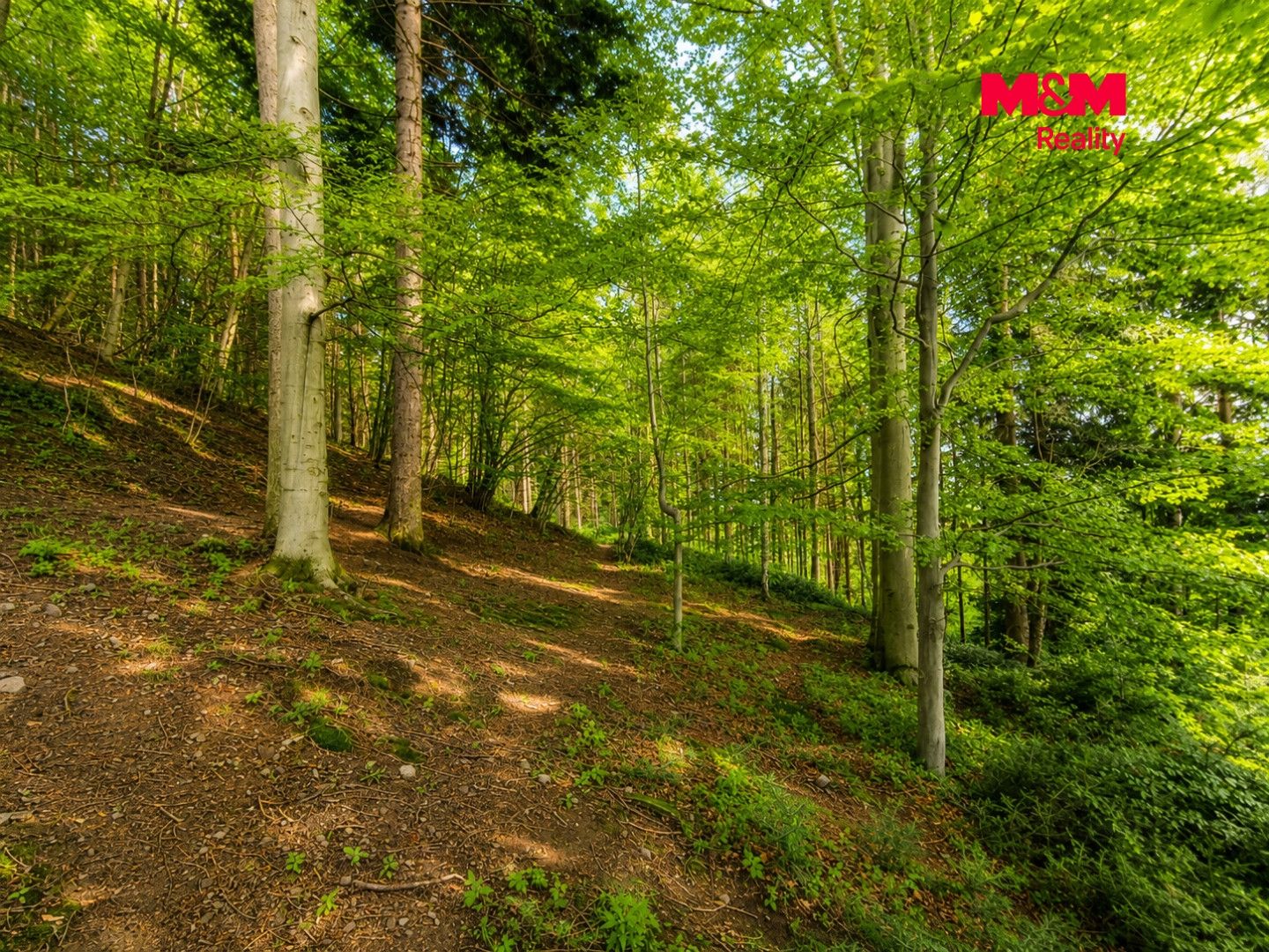 Prodej, Chata, 62 m², Trojanovice, Trojanovice – náhled fotky 17