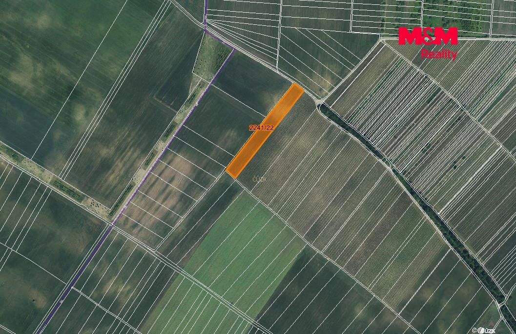 Prodej, Pole, Hrušky