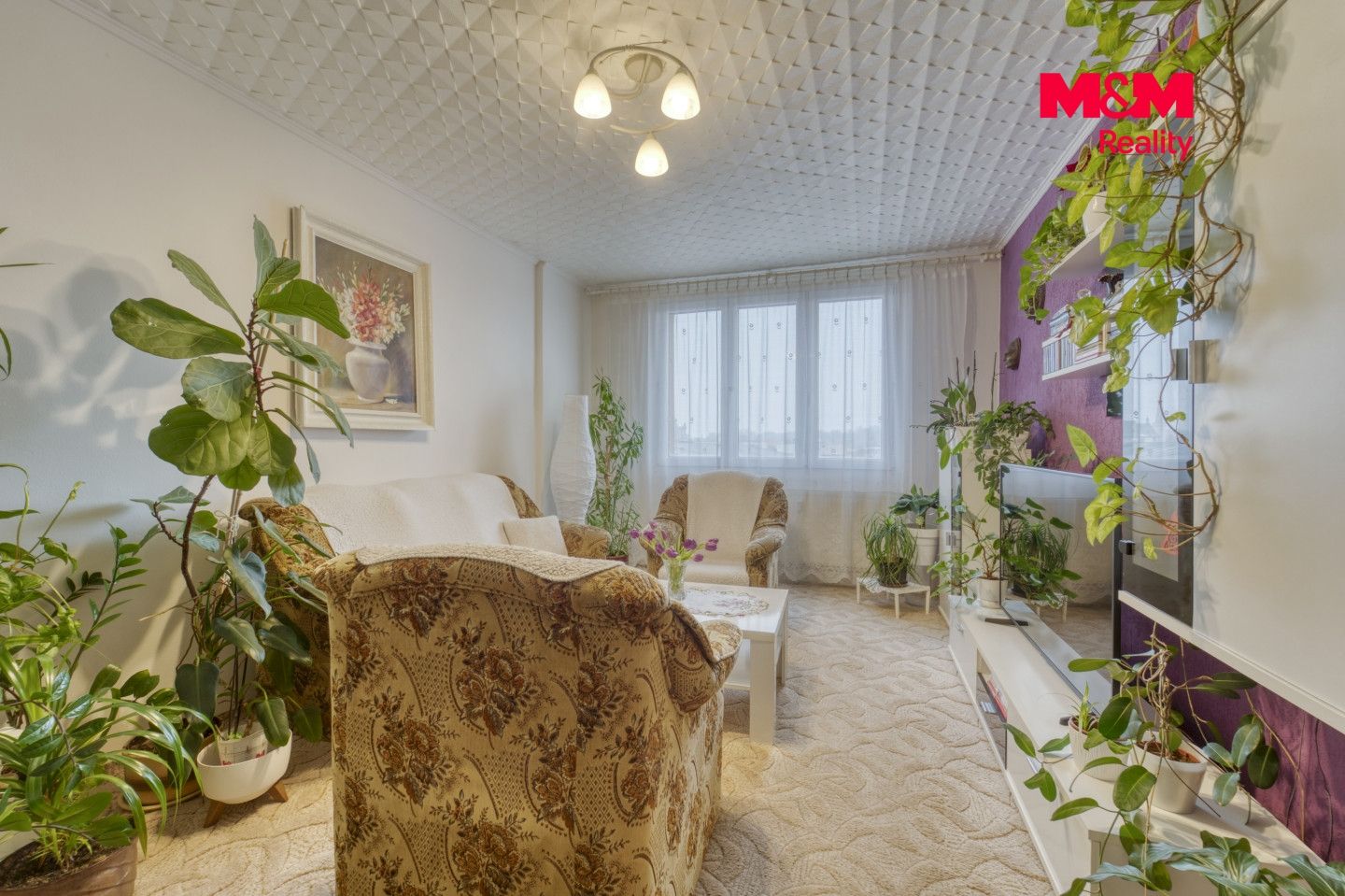Prodej, Byt 2+1, 63 m², Bor, Přimdská, Bor – náhled fotky 7