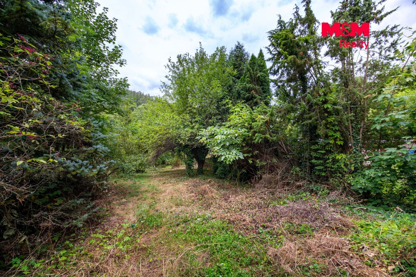 Prodej, Chata, 20 m², Šternberk, Šternberk – náhled fotky 19