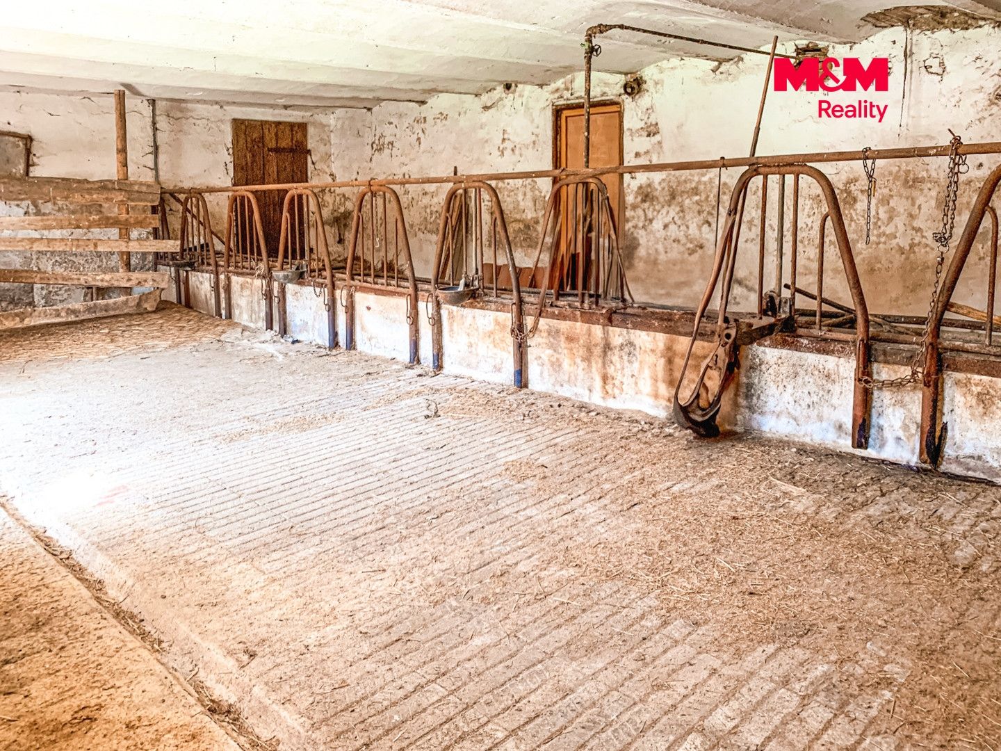 Prodej, Rodinný dům, 350 m², Křenice, Křenice – náhled fotky 11
