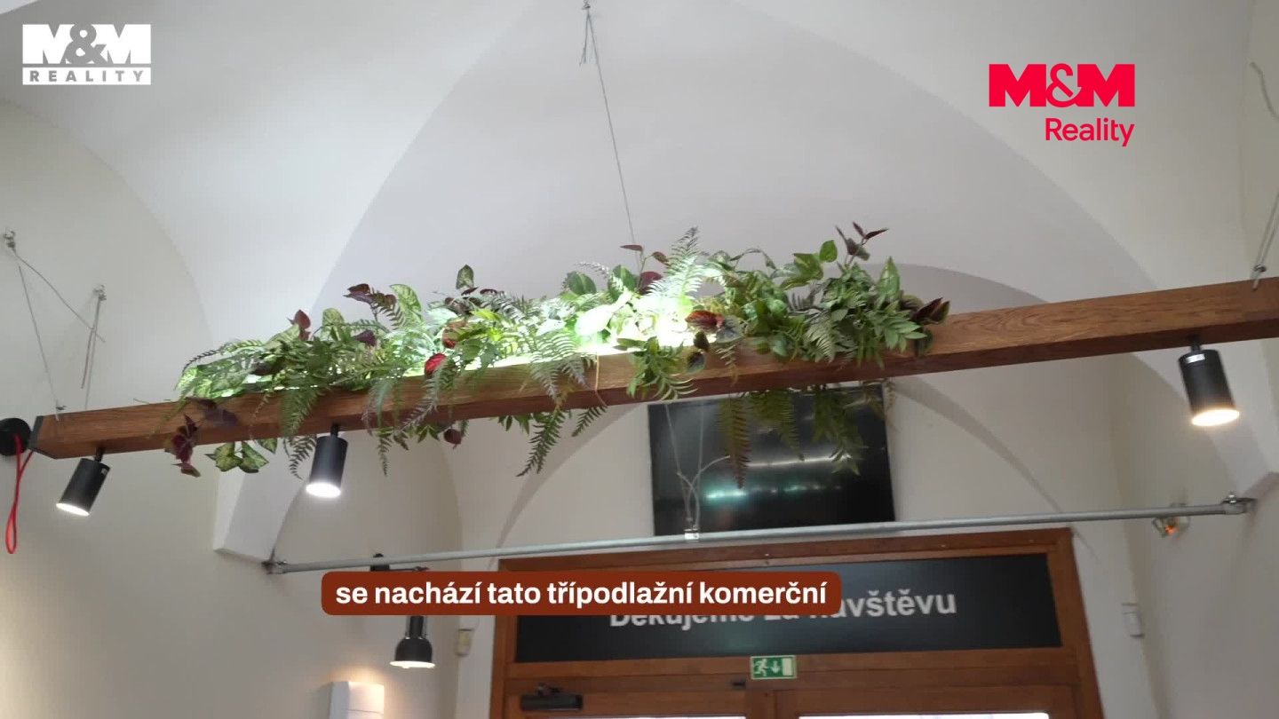 Prodej, Obchod a služby, Olomouc