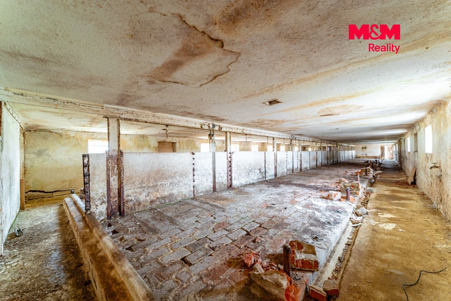 Prodej, Zemědělská usedlost, 600 m², Puclice, Puclice – náhled fotky 5
