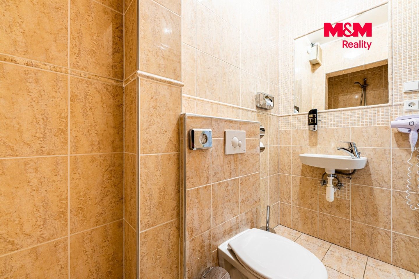Pronájem, Byt 2+kk, 80 m², Plzeň, Zbrojnická, Plzeň – náhled fotky 12