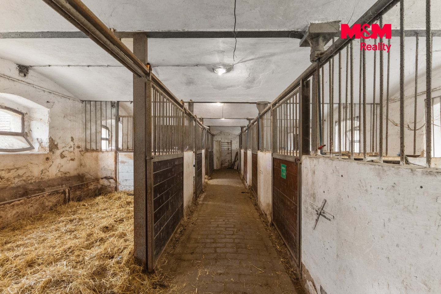 Prodej, Rodinný dům, 380 m², Jarpice, Jarpice – náhled fotky 8