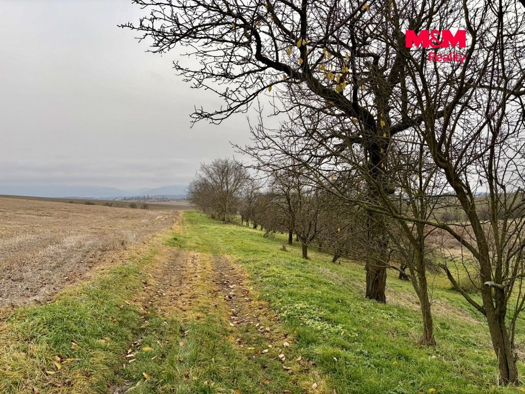 Prodej, Zahrada, Bezuchov