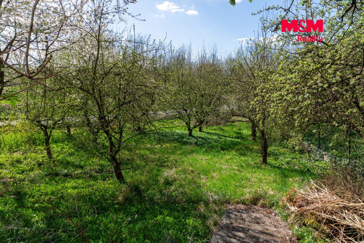Prodej, Atypický byt, 140 m², Orlová, Fr. Palackého, Orlová – náhled fotky 23
