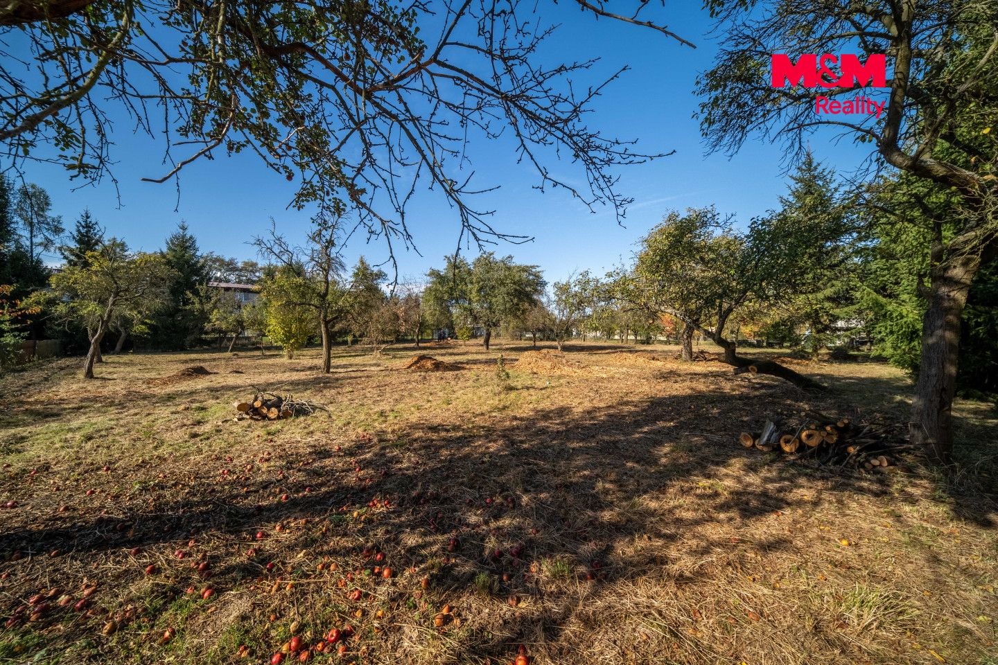 Prodej, Zemědělská usedlost, 125 m², Pavlíkov, Pavlíkov – náhled fotky 9