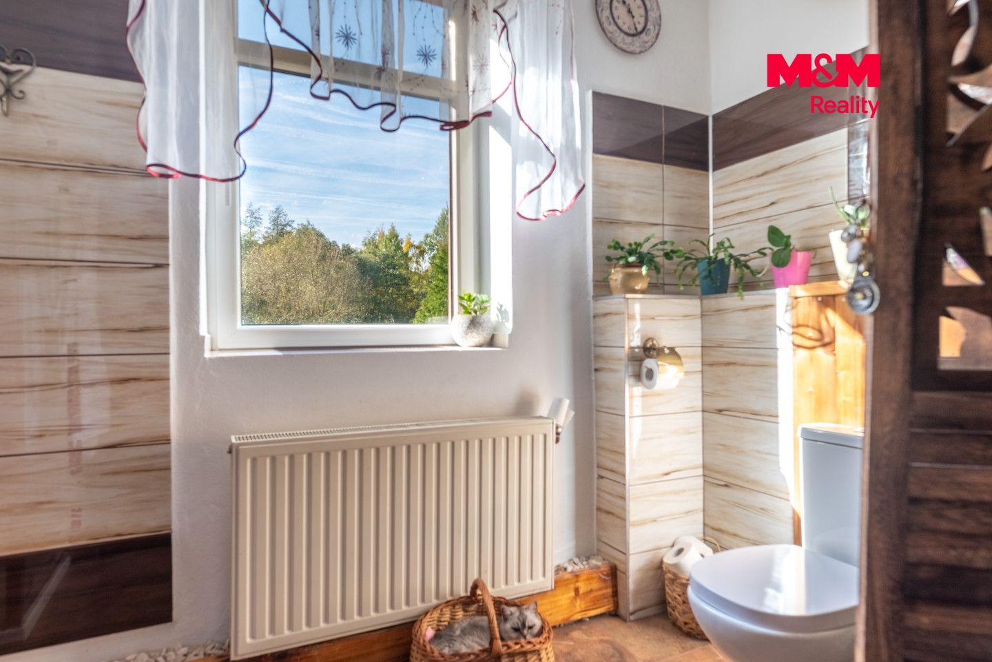 Prodej, Rodinný dům, 550 m², Netolice, Netolice – náhled fotky 15