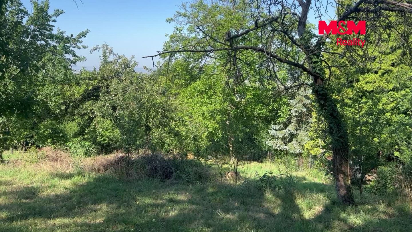 Prodej, Pozemek k bydlení, Dolany