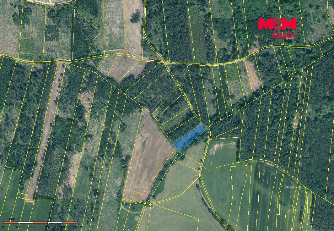 Prodej, Les, Jetětice