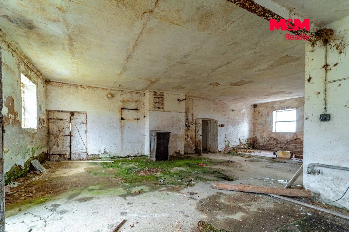 Prodej, Zemědělská usedlost, 600 m², Puclice, Puclice – náhled fotky 10