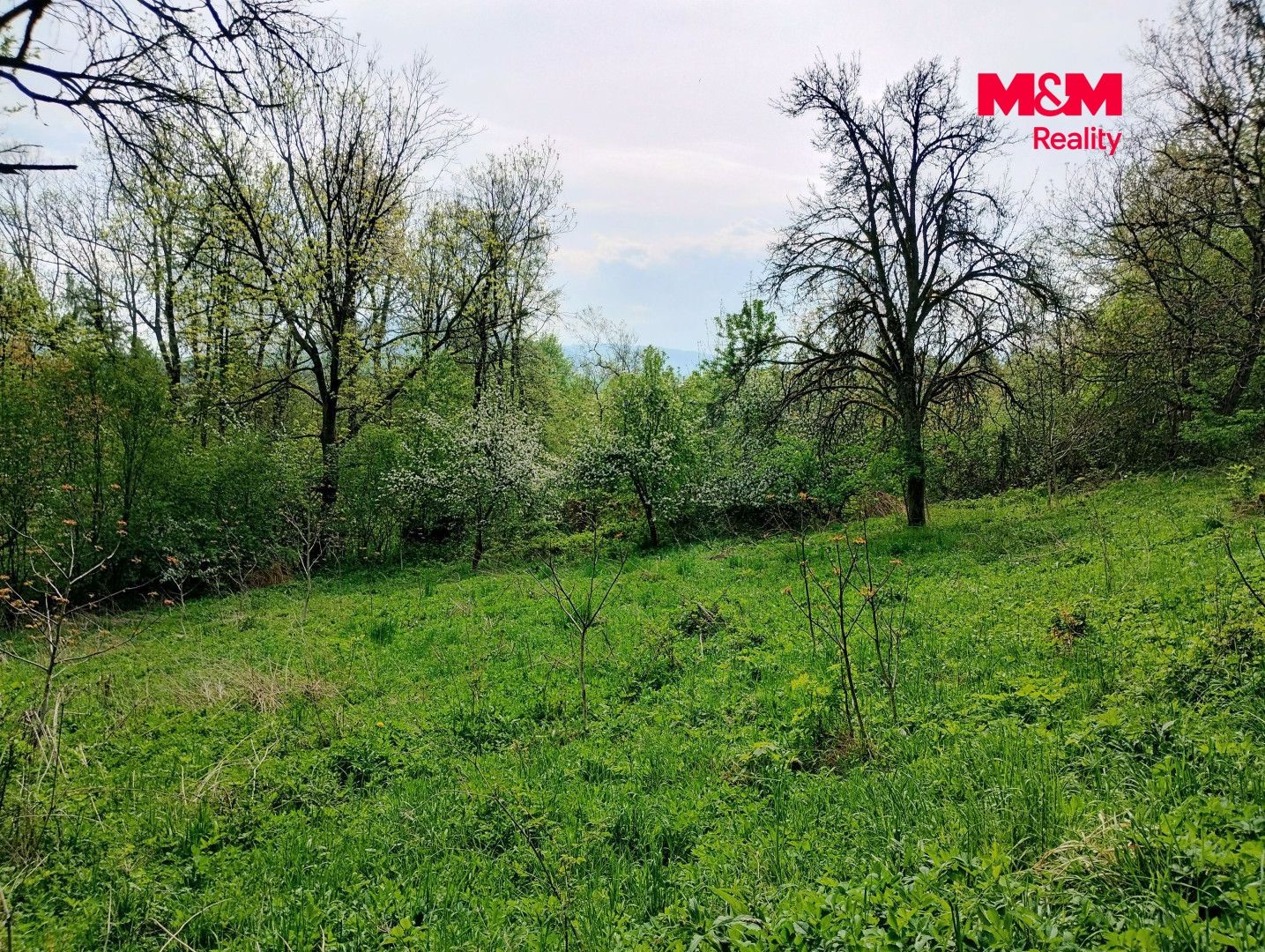 Prodej, Chata, 38 m², Jeseník nad Odrou, Jeseník nad Odrou – náhled fotky 2