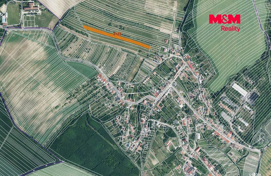 Prodej, Pole, Stavěšice