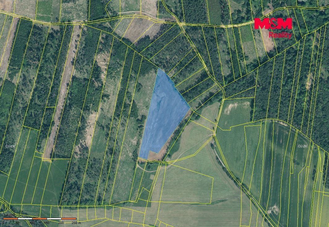 Prodej, Les, Jetětice