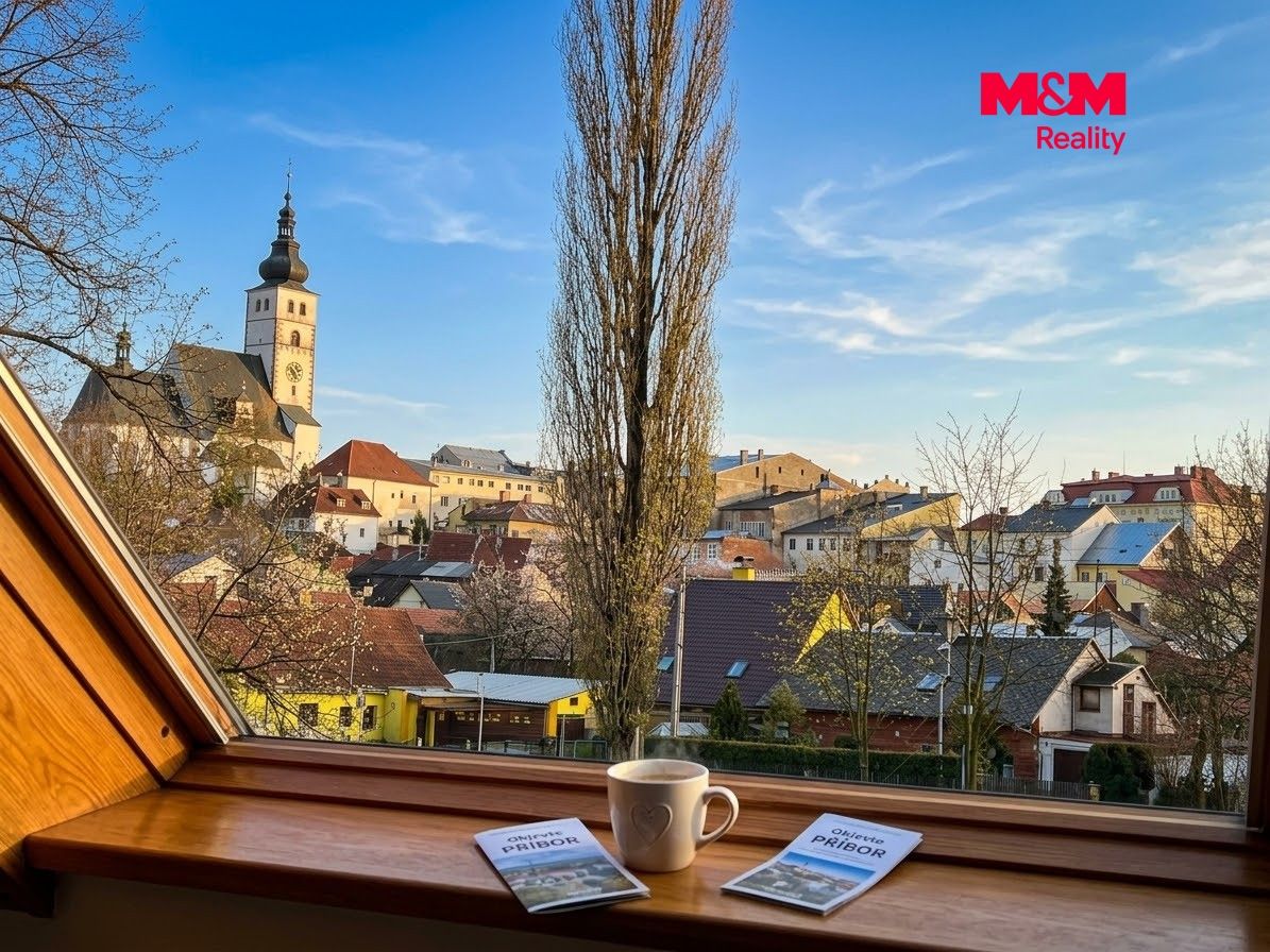 Pronájem, Byt 1+kk, 20 m², Příbor, nábřeží Rudoarmějců, Příbor – náhled fotky 9