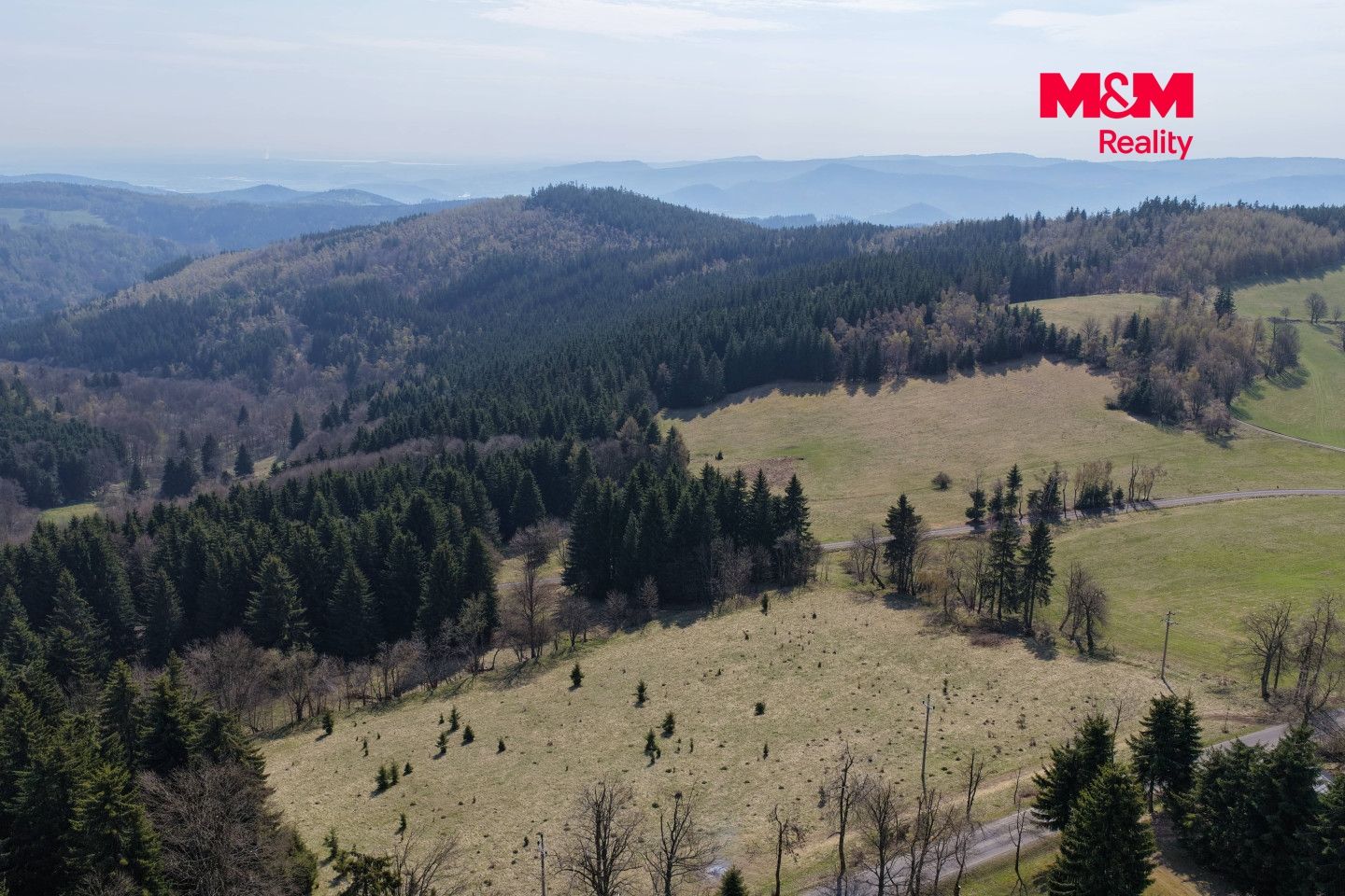 Prodej, Les, Měděnec