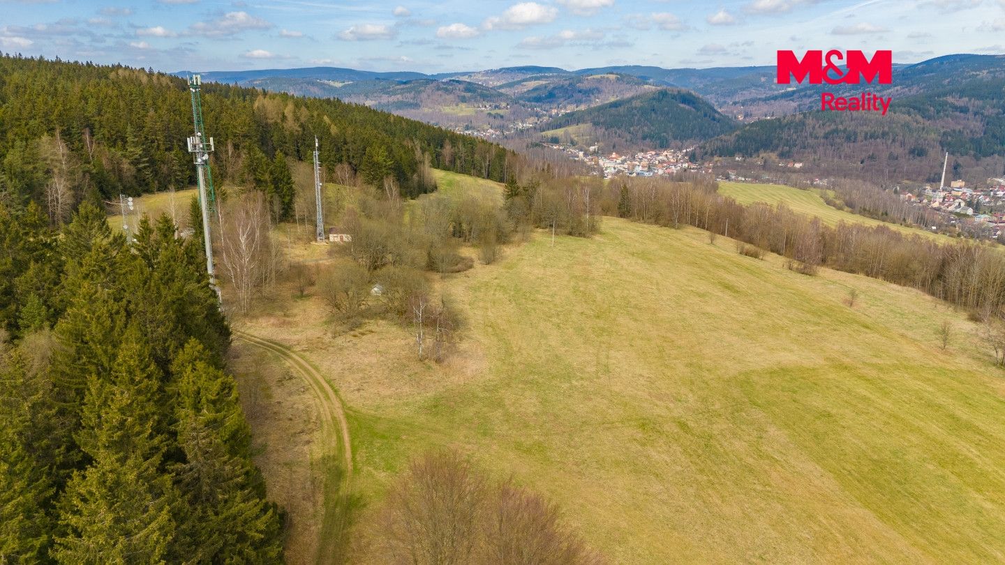 Prodej, Ostatní, Kraslice
