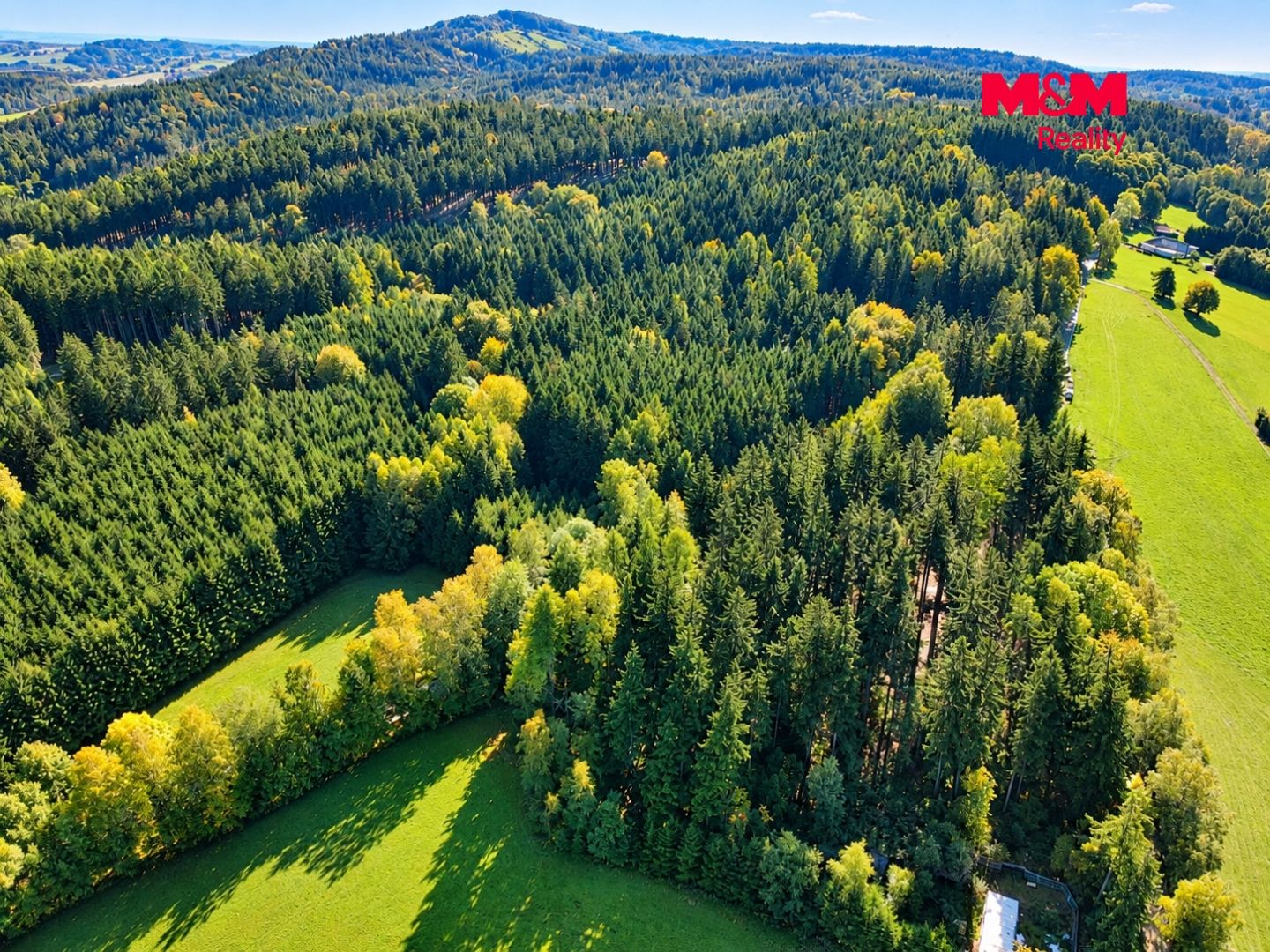 Prodej, Les, Červený Kostelec