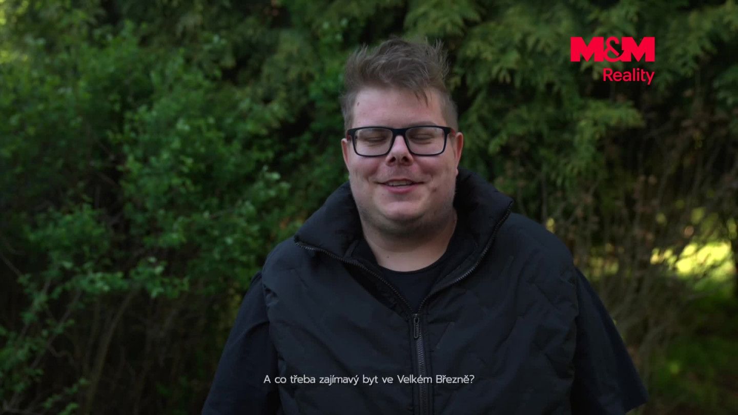 Prodej, Byt 2+1, Velké Březno