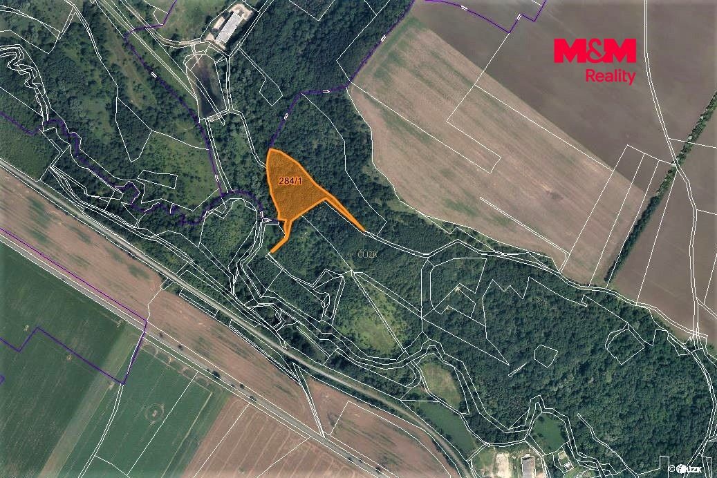 Prodej, Les, Žiželice