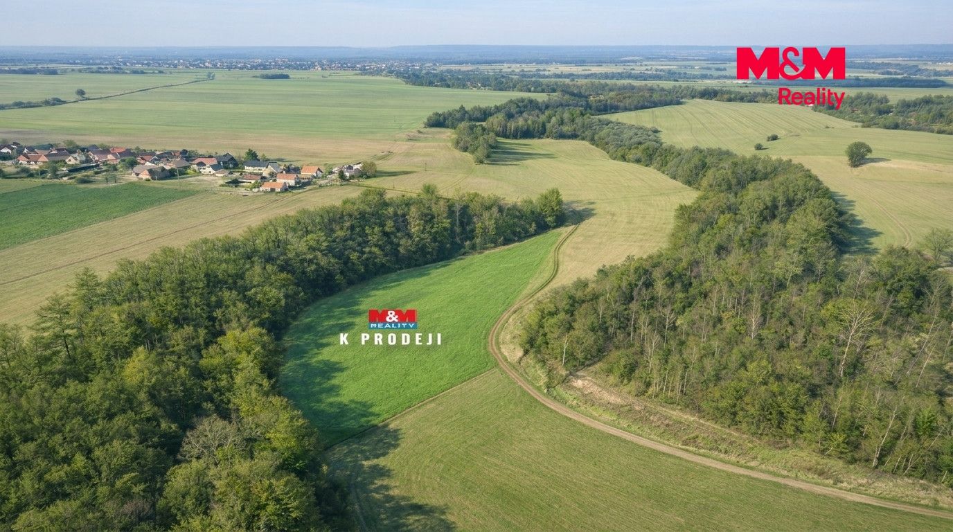 Prodej, Louka, Čistá