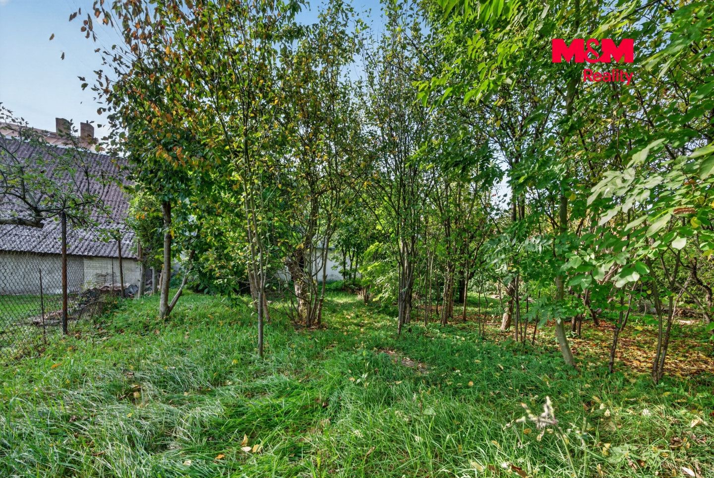Prodej, Rodinný dům, 237 m², Černovice, Mariánské náměstí, Černovice – náhled fotky 8