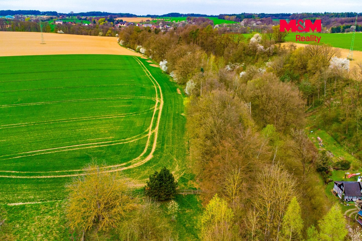 Prodej, Rodinný dům, 100 m², Chocnějovice, Chocnějovice – náhled fotky 40