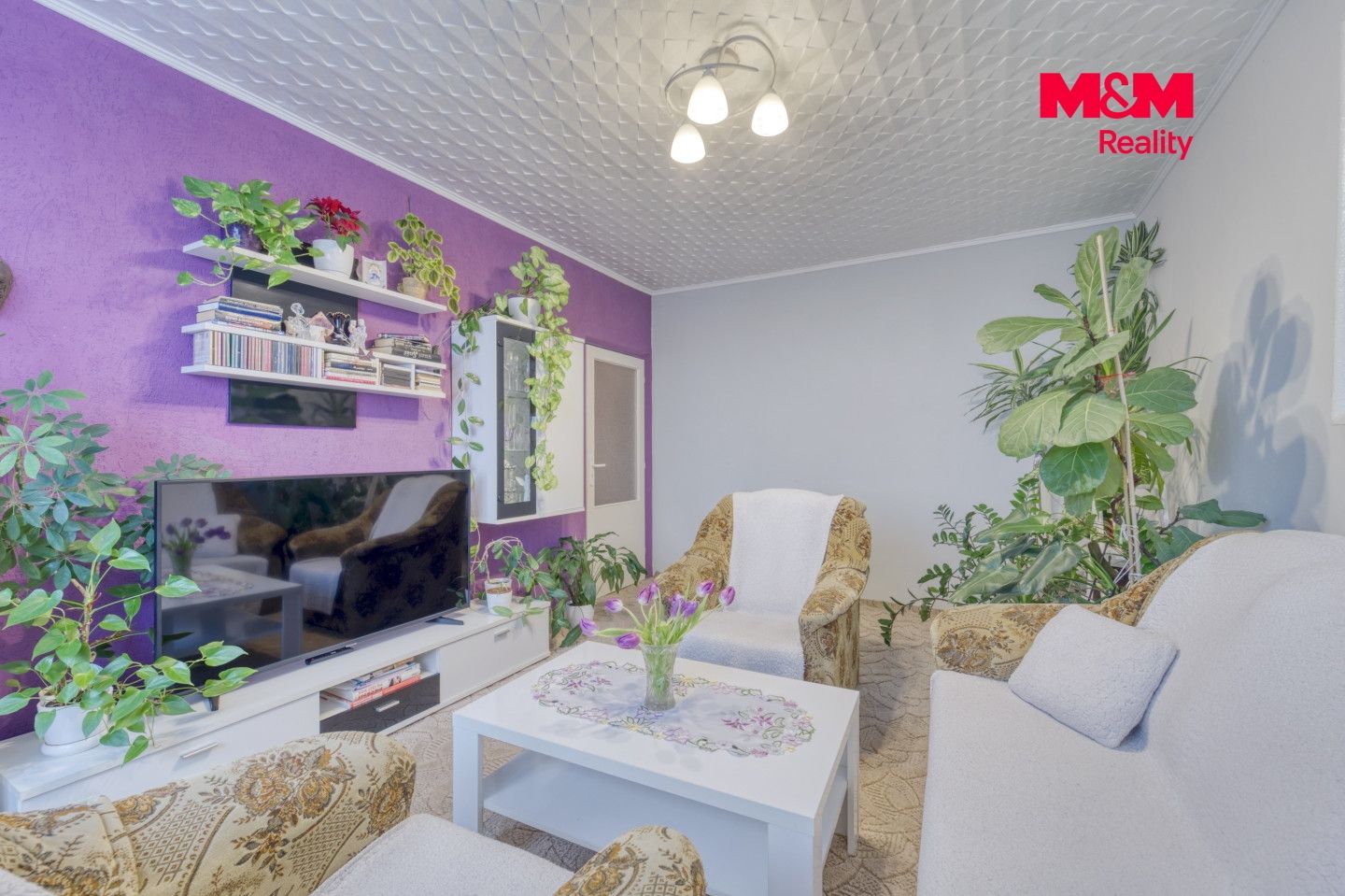 Prodej, Byt 2+1, 63 m², Bor, Přimdská, Bor – náhled fotky 5