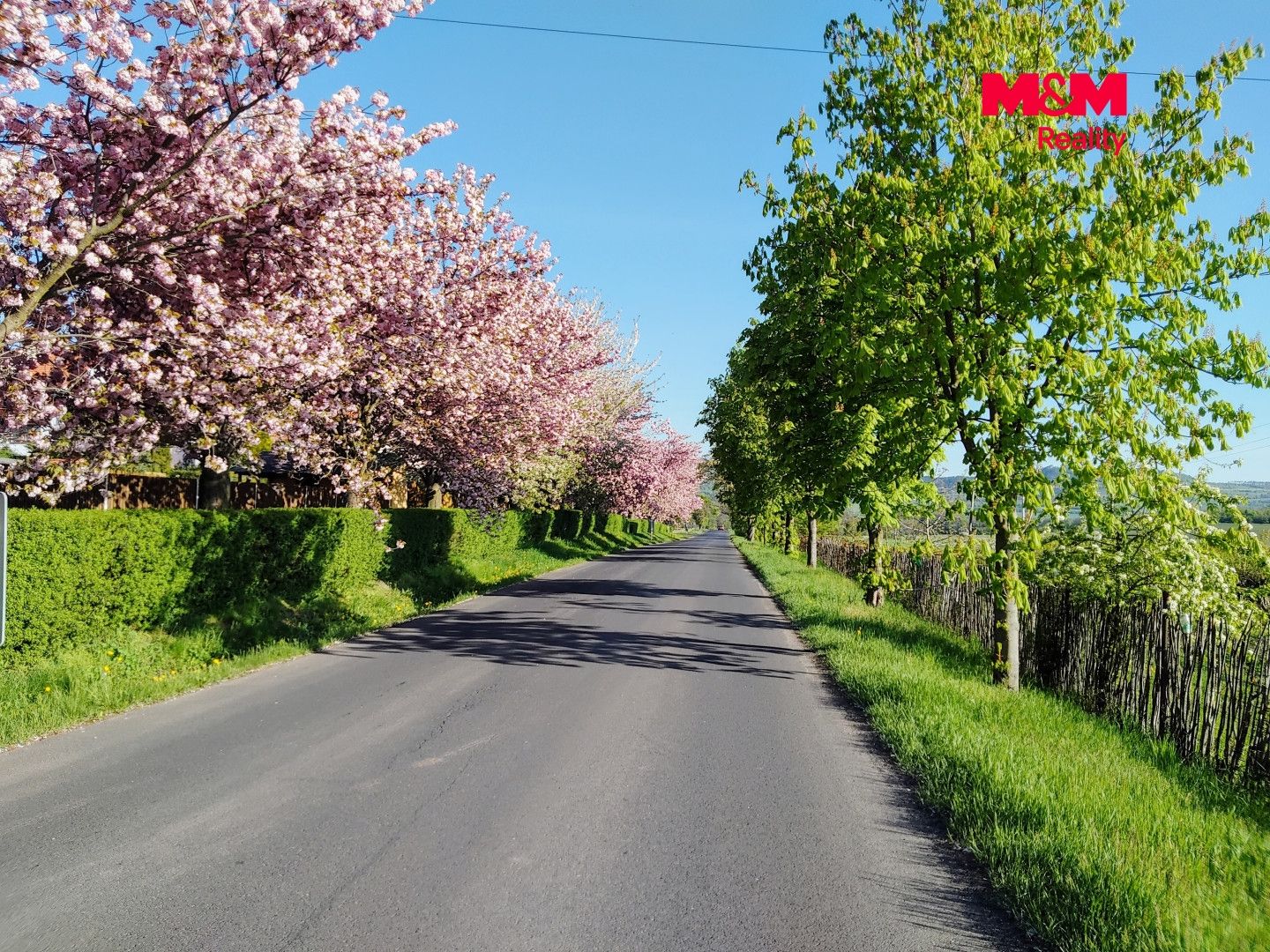 Prodej, Rodinný dům, 260 m², Radonice, Radonice – náhled fotky 9