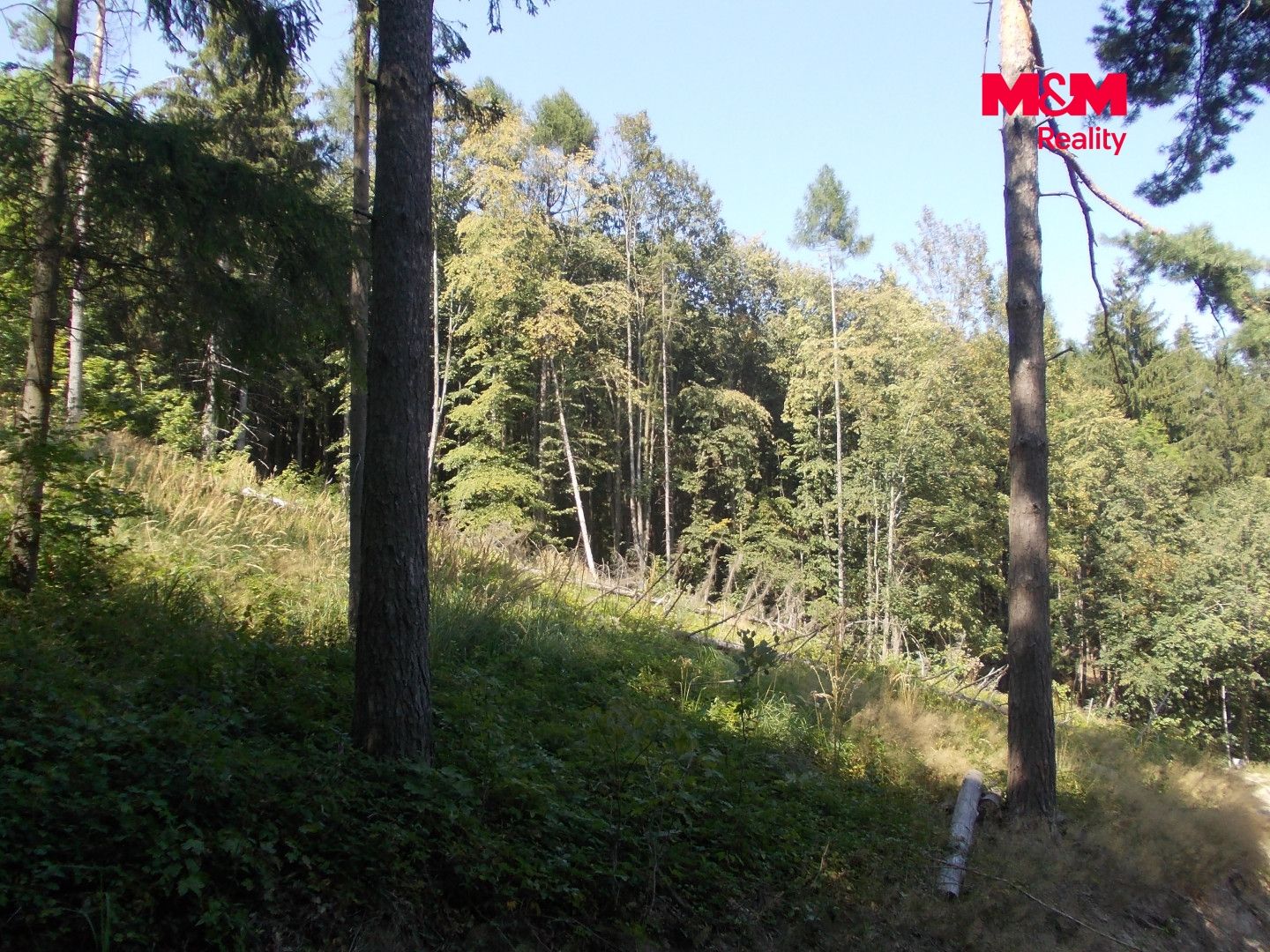 Prodej, Chata, 36 m², Pstruží, Pstruží – náhled fotky 8