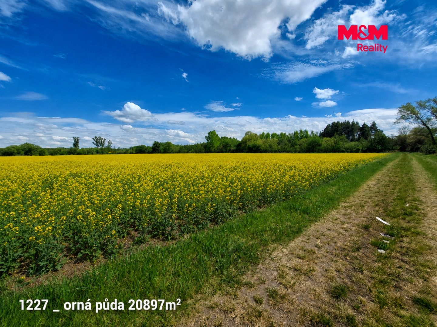 Prodej, Ostatní, Pňov-Předhradí
