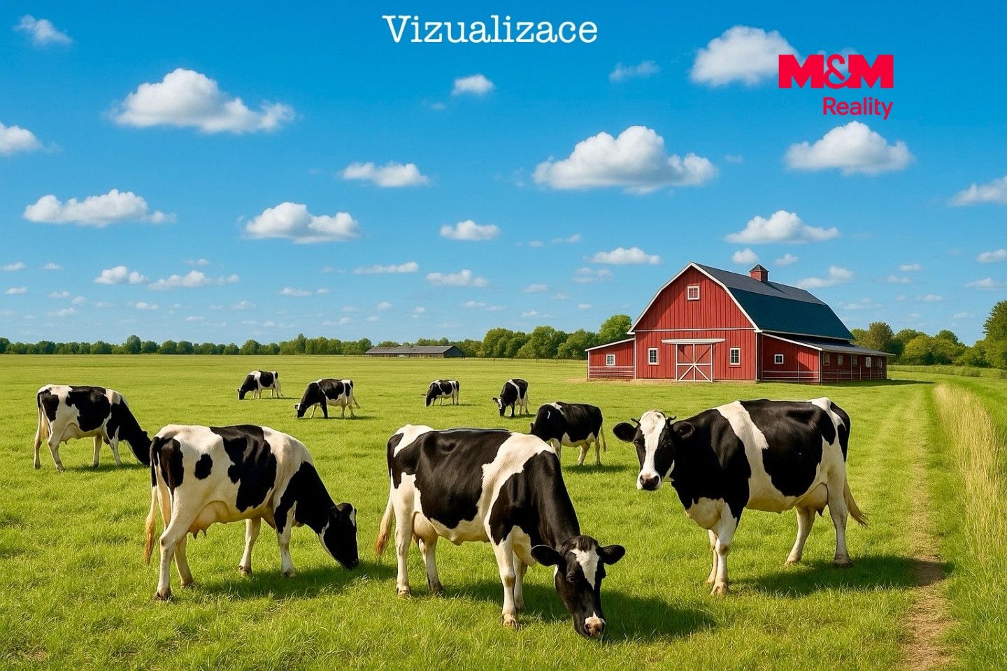 Prodej, Pole, Dolní Roveň