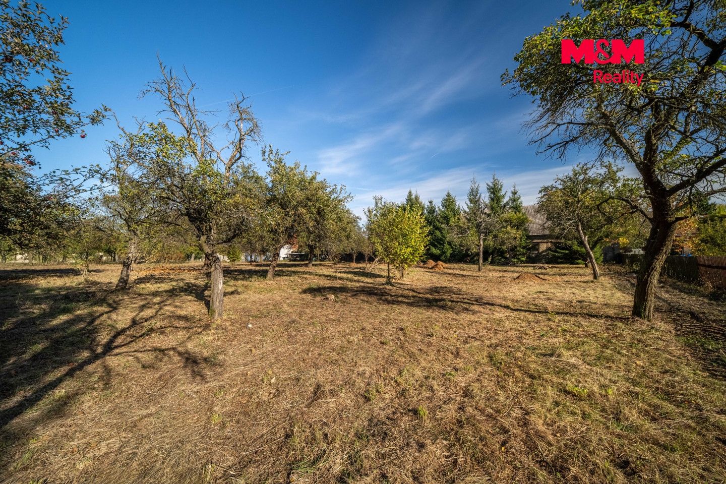 Prodej, Zemědělská usedlost, 125 m², Pavlíkov, Pavlíkov – náhled fotky 8