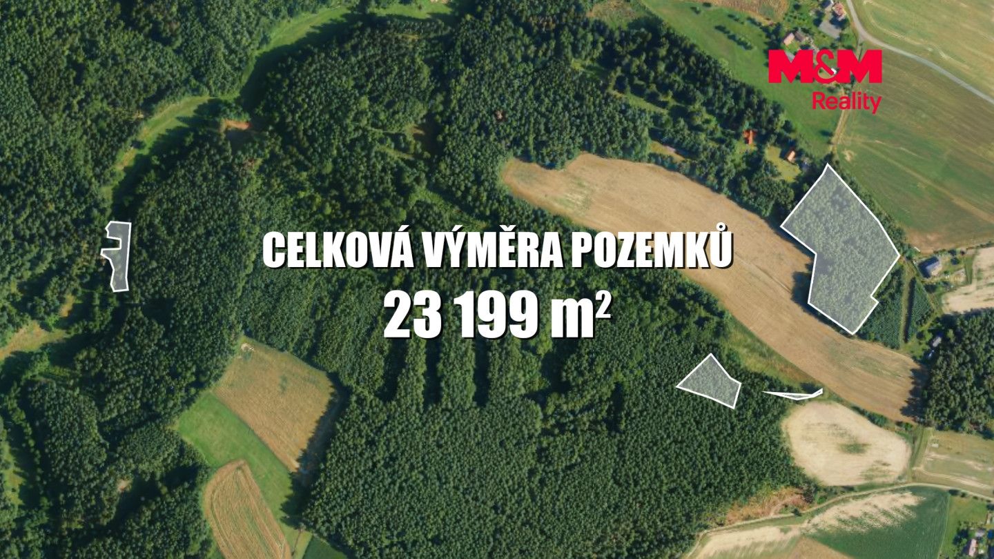 Prodej, Les, Všelibice