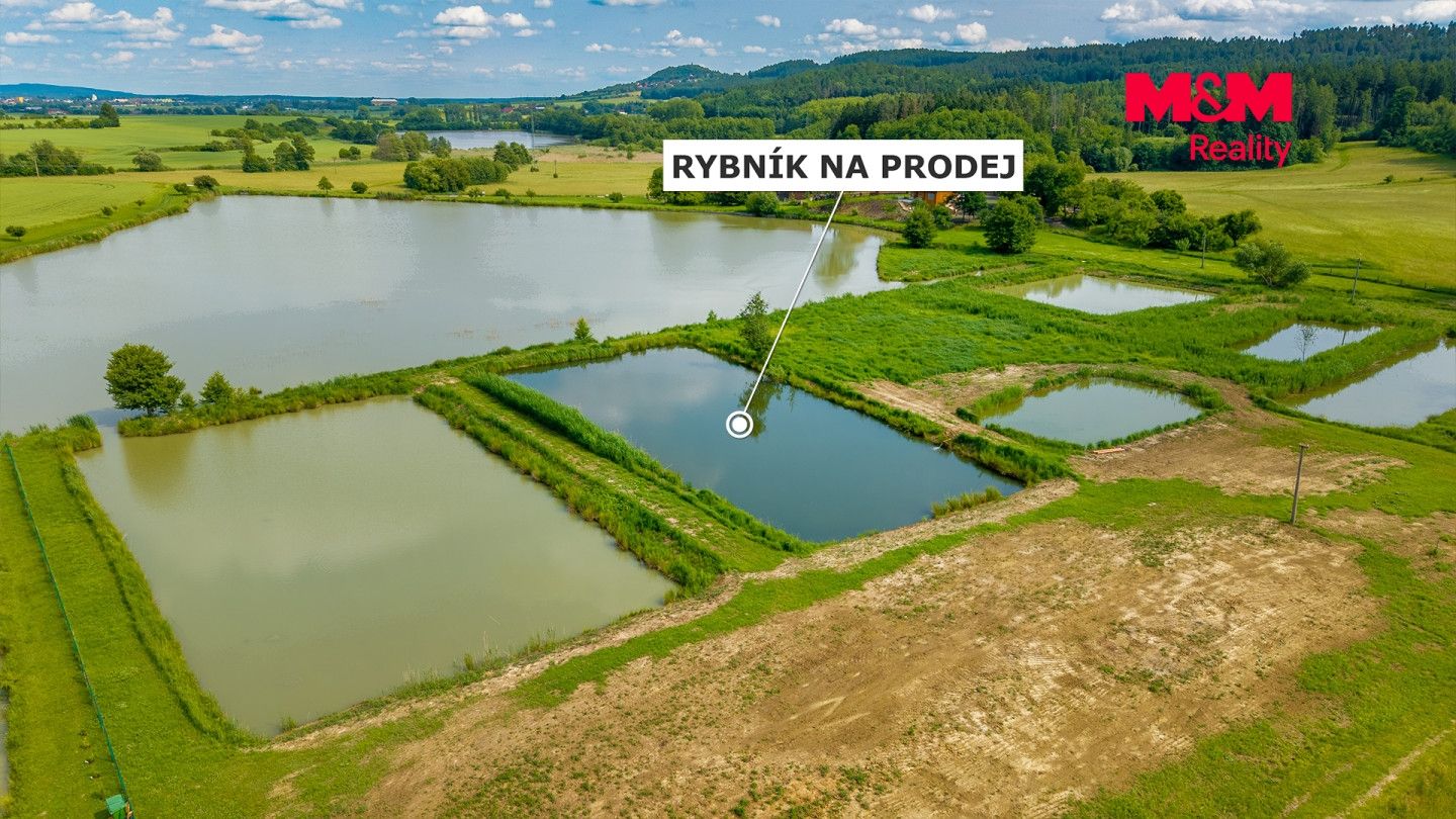 Prodej, Vodní plocha, Ostružno