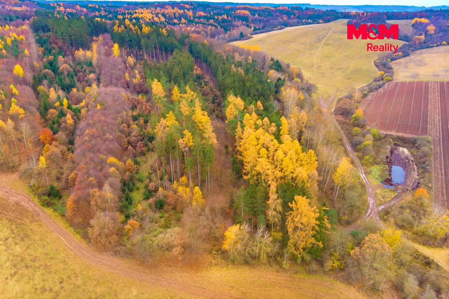 Prodej, Les, Tuchořice