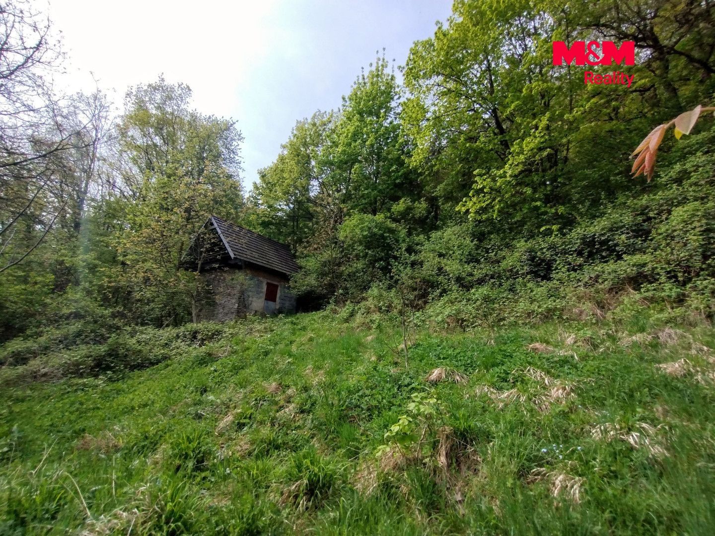 Prodej, Chata, 38 m², Jeseník nad Odrou, Jeseník nad Odrou – náhled fotky 5