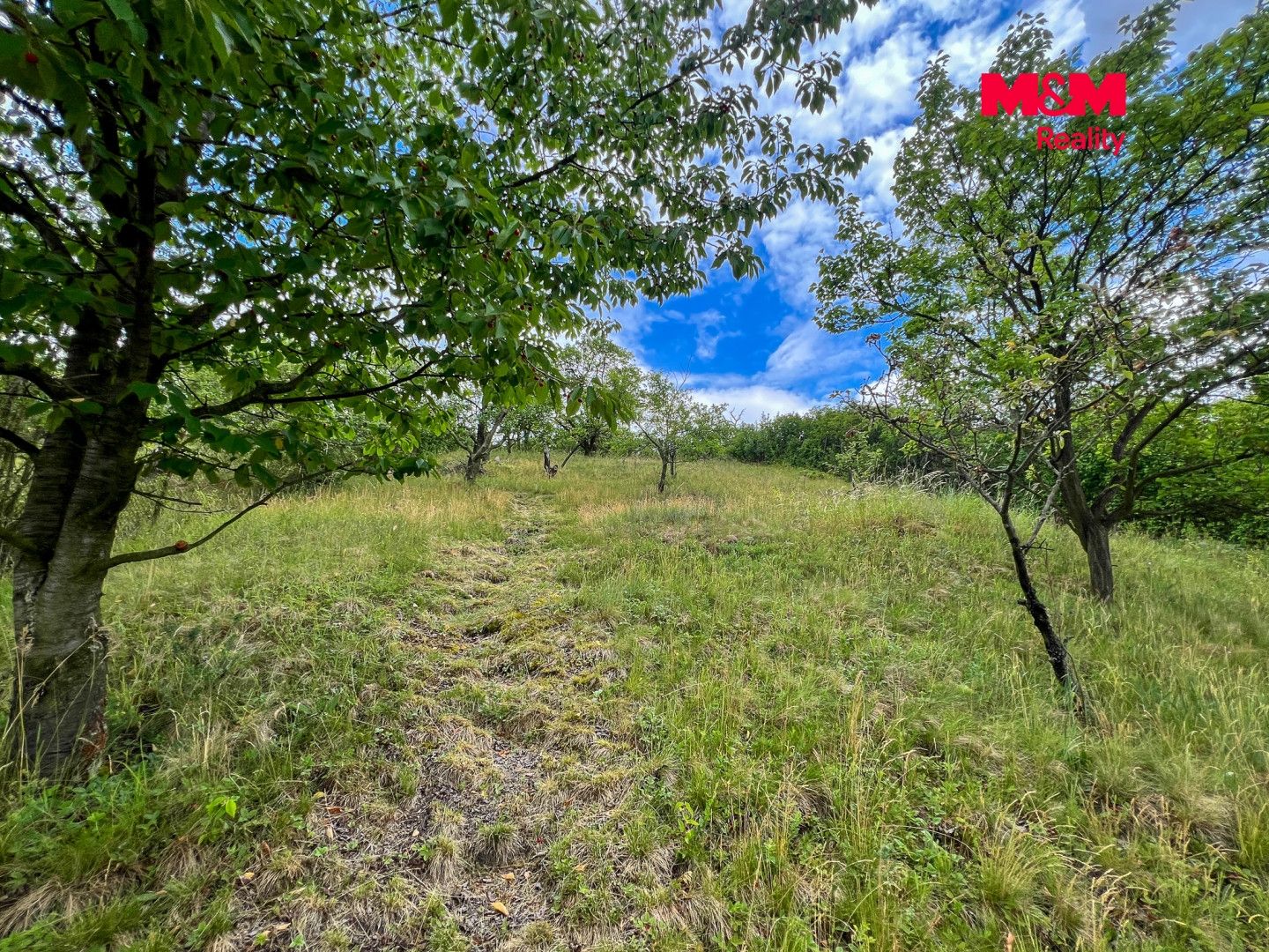 Prodej, Chata, 40 m², Litoměřice, Litoměřice – náhled fotky 24