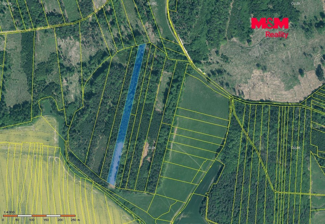 Prodej, Les, Jetětice
