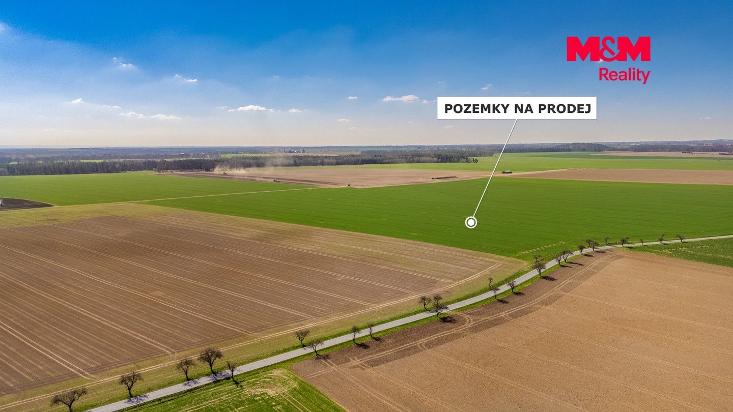 Prodej, Pole, Čistá