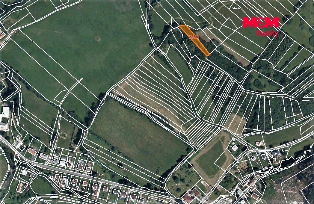 Prodej, Les, Rajnochovice