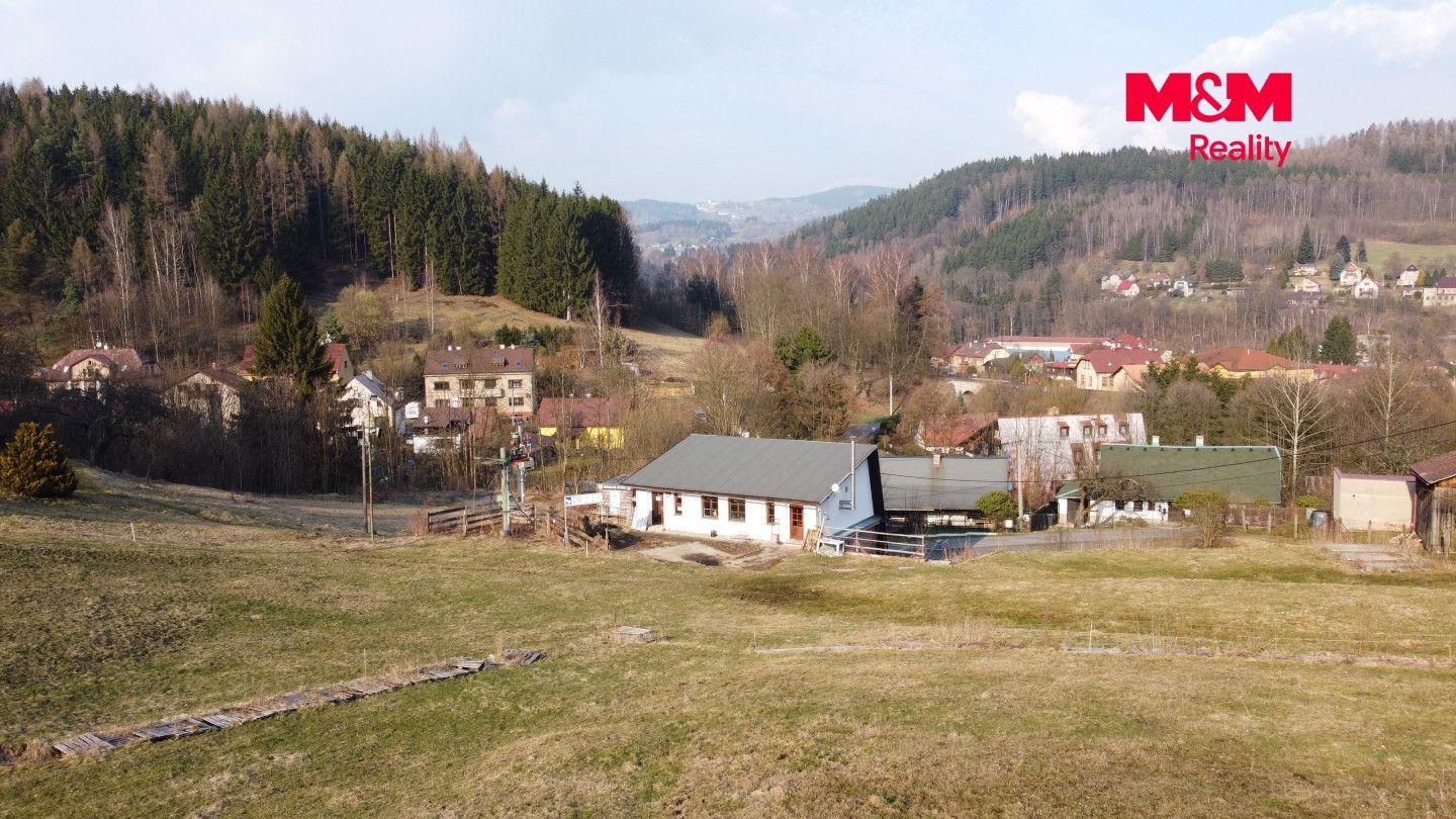 Prodej, Rodinný dům, Plavy