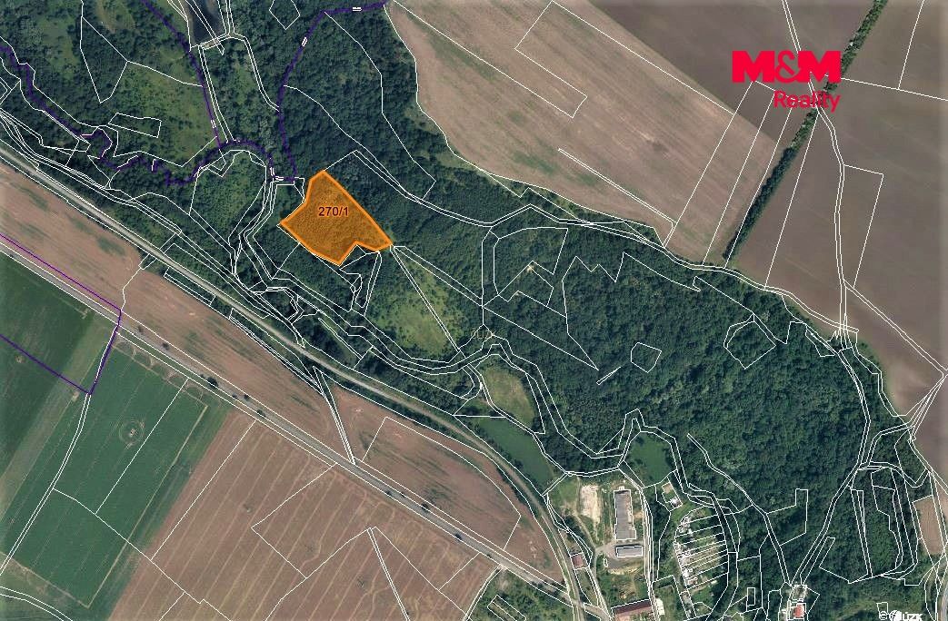 Prodej, Louka, Žiželice