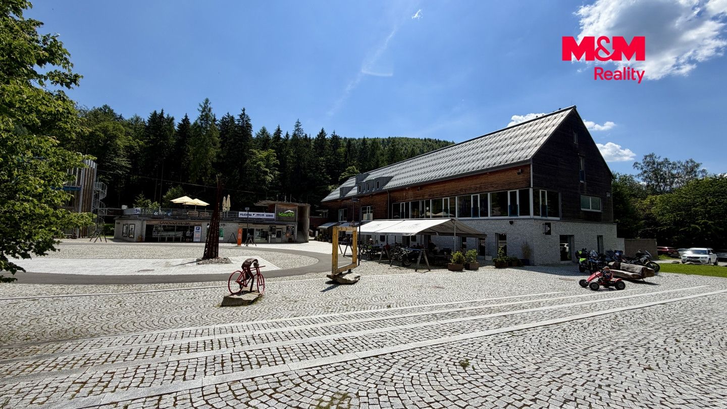 Prodej, Byt 2+kk, 36 m², Loučná nad Desnou, Loučná nad Desnou – náhled fotky 13