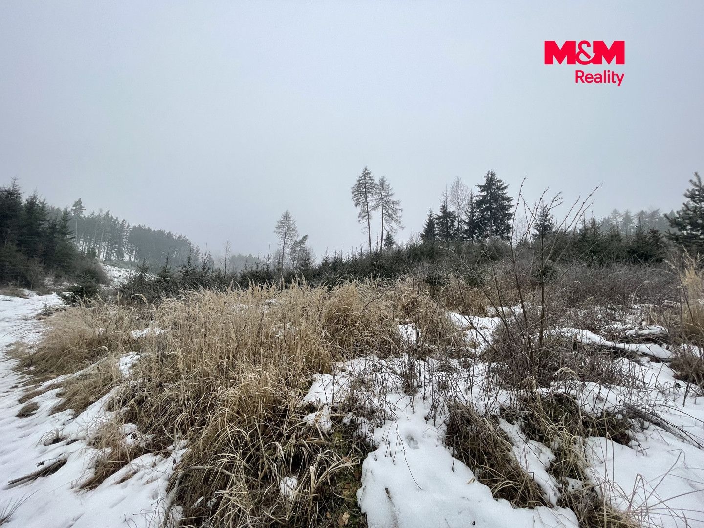 Prodej, Les, Vidochov