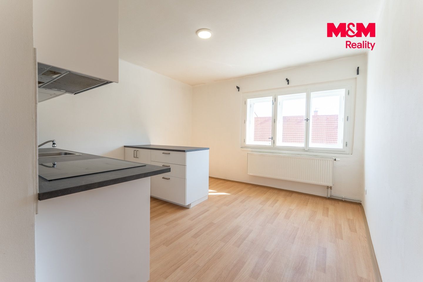 Prodej, Rodinný dům, 1120 m², Liběchov, Liběchov – náhled fotky 4